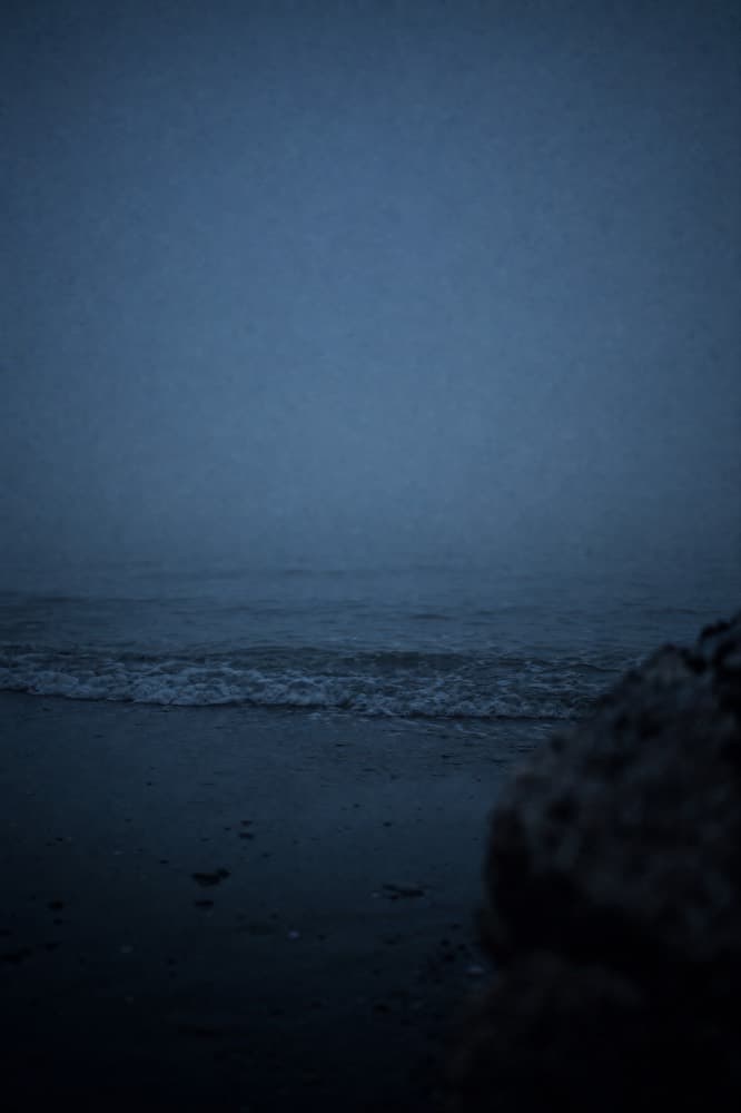 A calm shoreline at dusk.